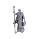 Dungeons & Dragons - Volo & Withers - Mini Figurine (Unpainted)